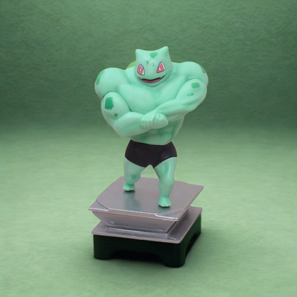 Gym  Evolution Colección Poke Monsters