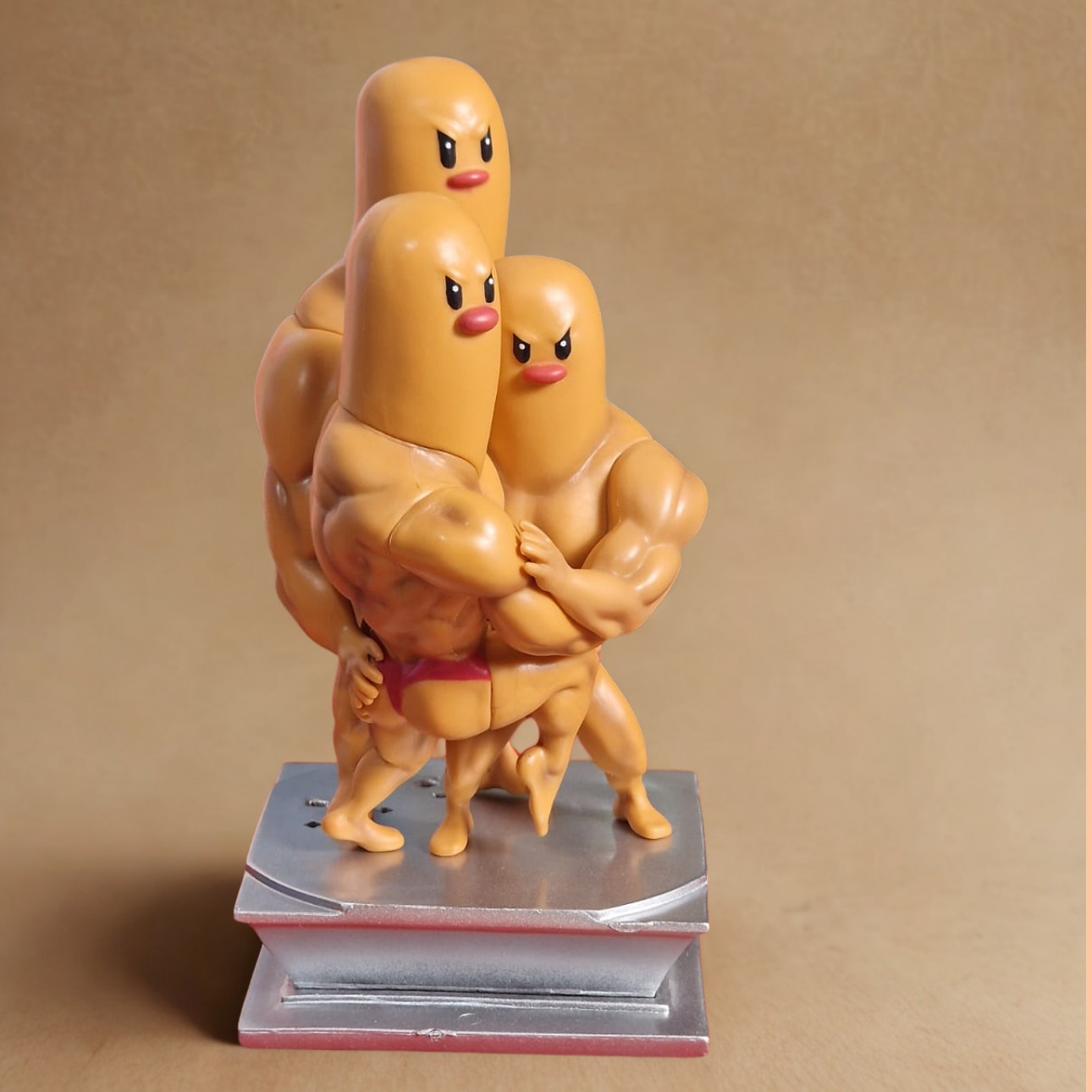 Gym  Evolution Colección Poke Monsters